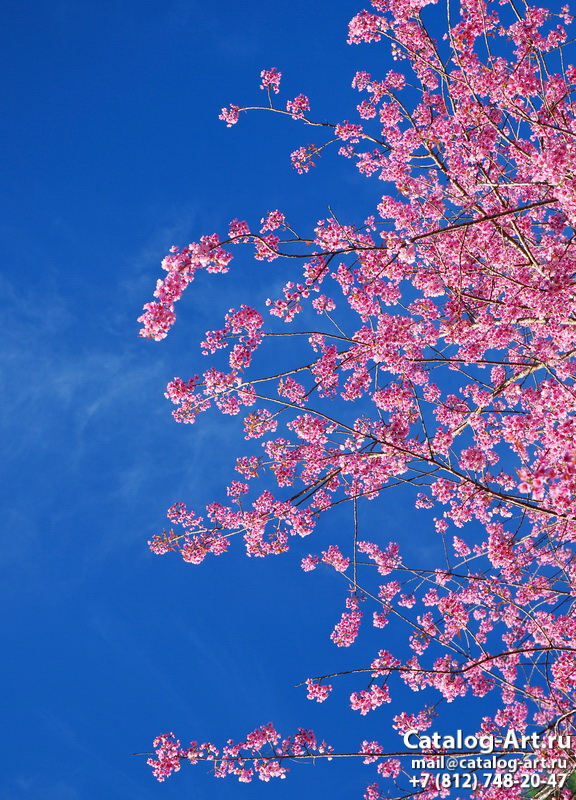 Blossom tree 119